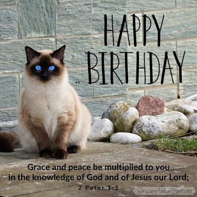 Happy Birthday with 2 Peter 1:2 and a cat | scriptureand.blogspot.com