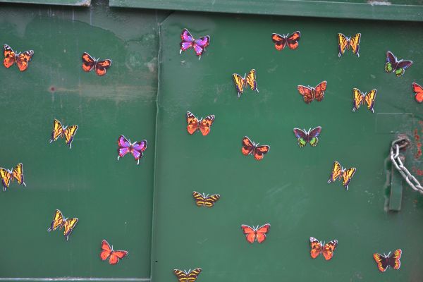 Butterfly Dumpster