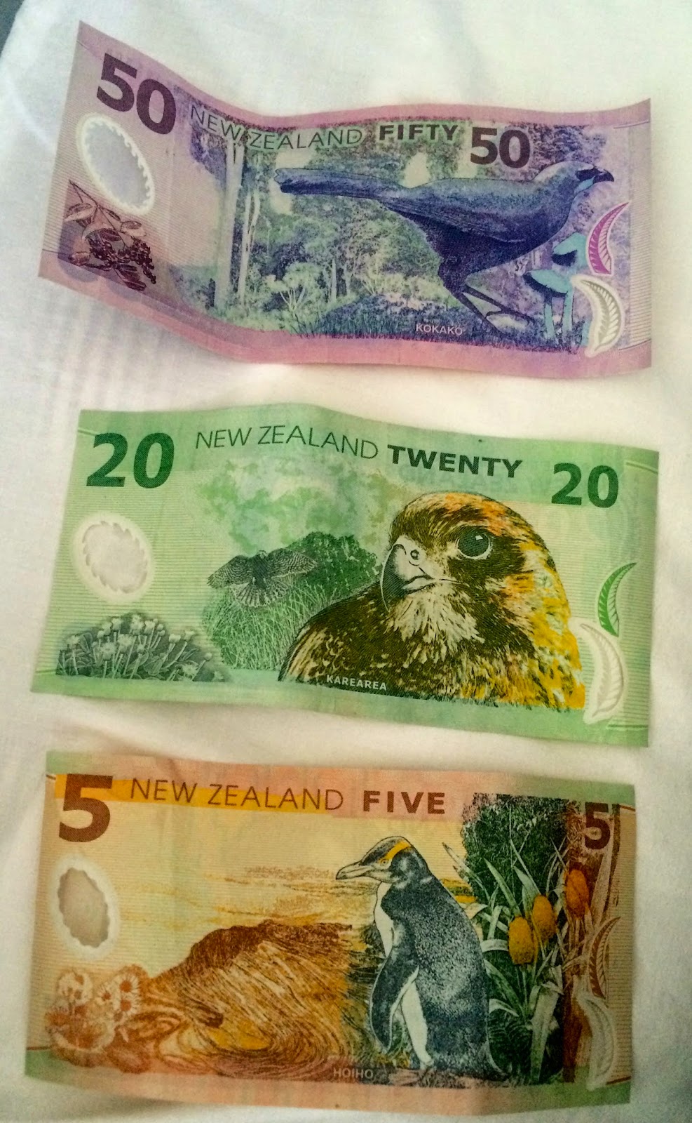 Børnehave Kondensere Mus KSC Abroad 9-12: New Zealand Dollar