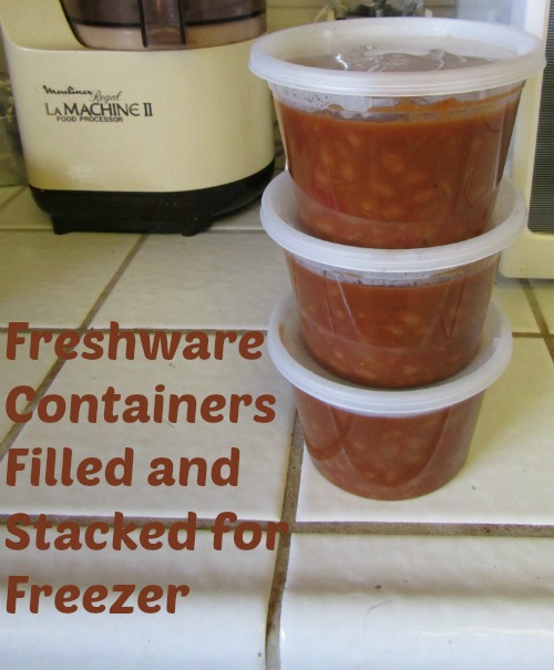 My Experience Using Freshware Food-to-Go Packs to Freeze Soup: A Review