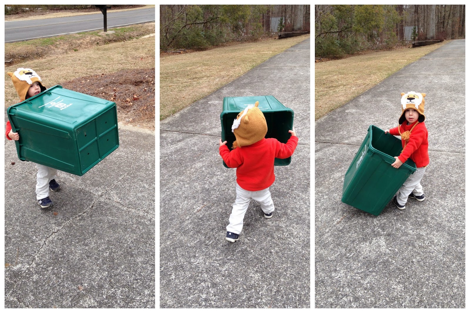 Evergreen Drive Recycling Pick up Day evergreen-drive-recycling-pick-up-day