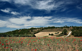 High Resolution Nature Wallpaper 