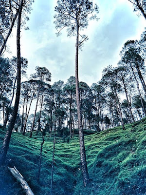 ALMORA // BLACK AND WHITE | STYLE PANORAMA BY DHEERA JOSHI almora travel diaries, travel ,the hills ,Almora India