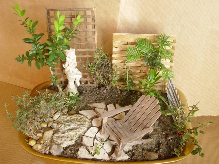 Jicolin minis: Jardin miniature