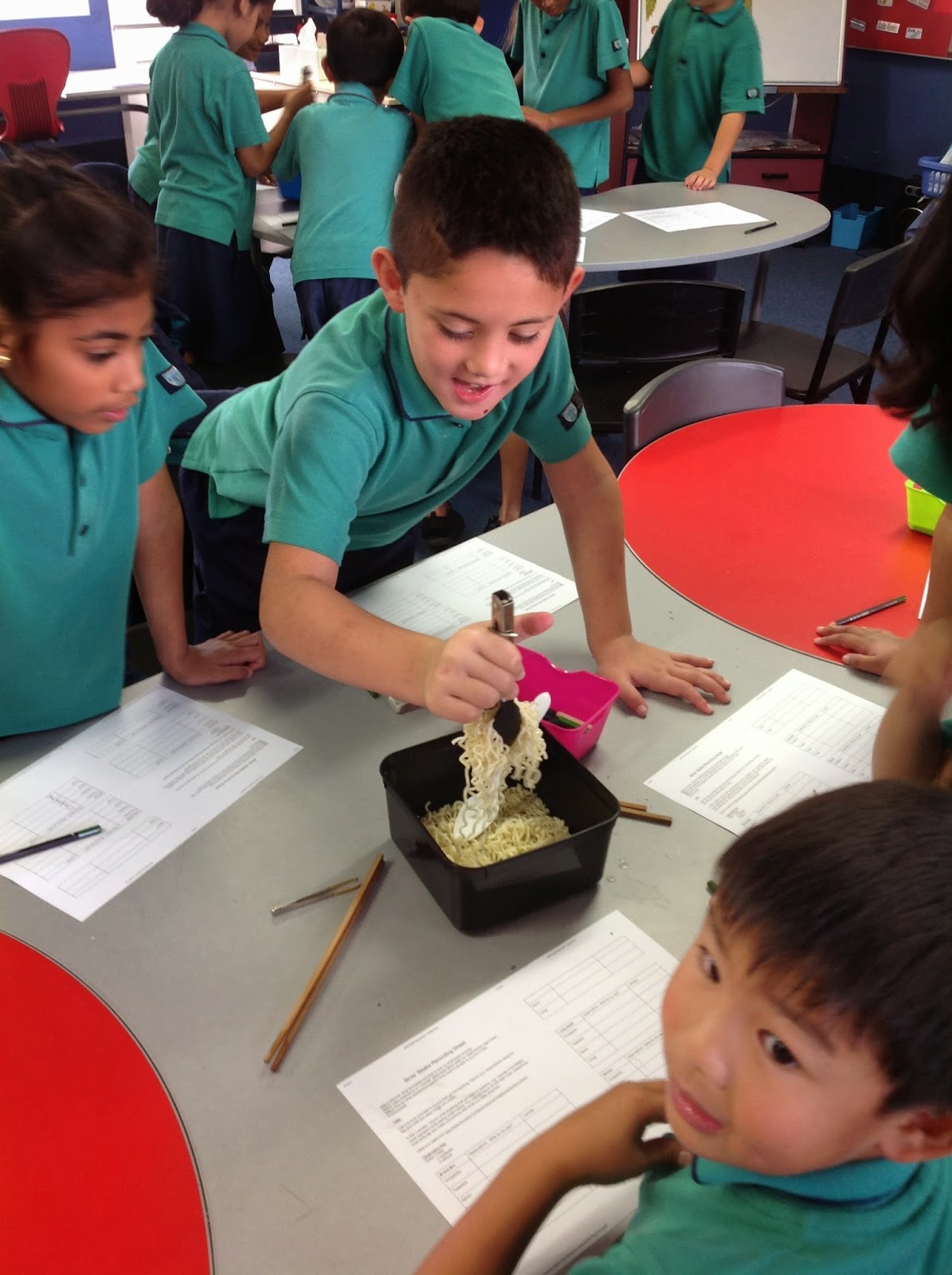 Room 8 s Blog Birds Beaks