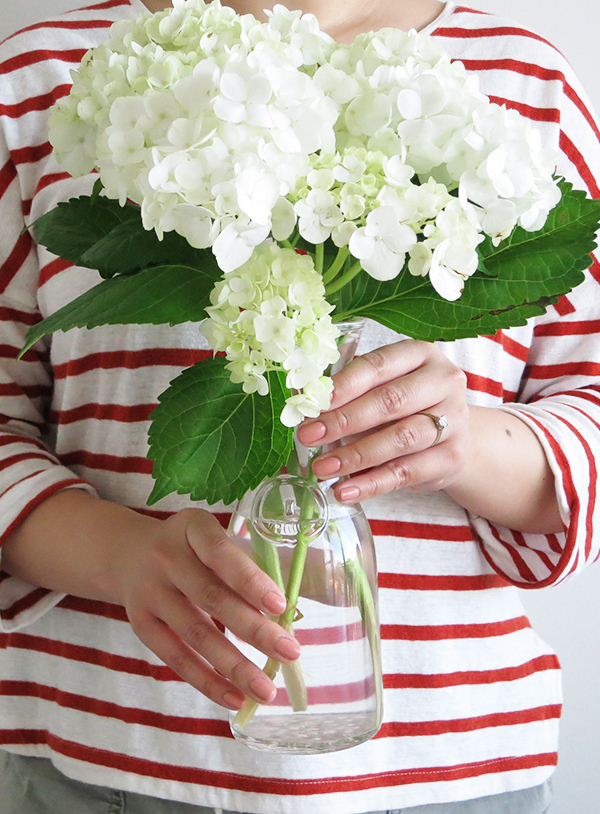 How To Make Hydrangeas Last Forever Solo Lisa