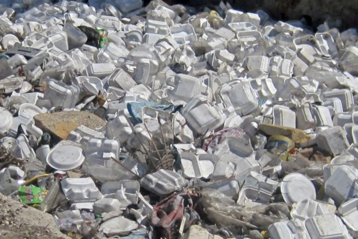 The Dangers of Styrofoam ☣️