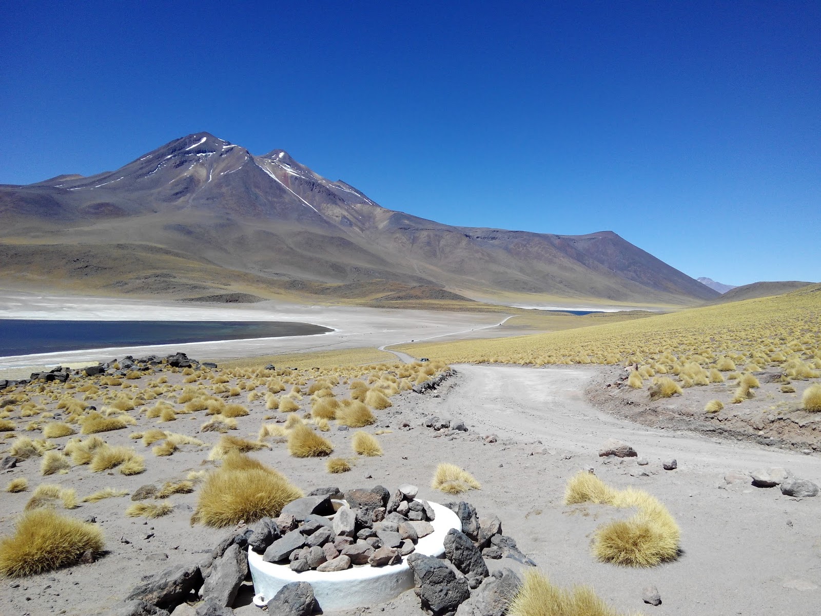 Curioseandando Desierto De Atacama IV Lagunas Altipl nicas 27 09 2015 curioseandando-desierto-de-atacama-iv-lagunas-altipl-nicas-27-09-2015