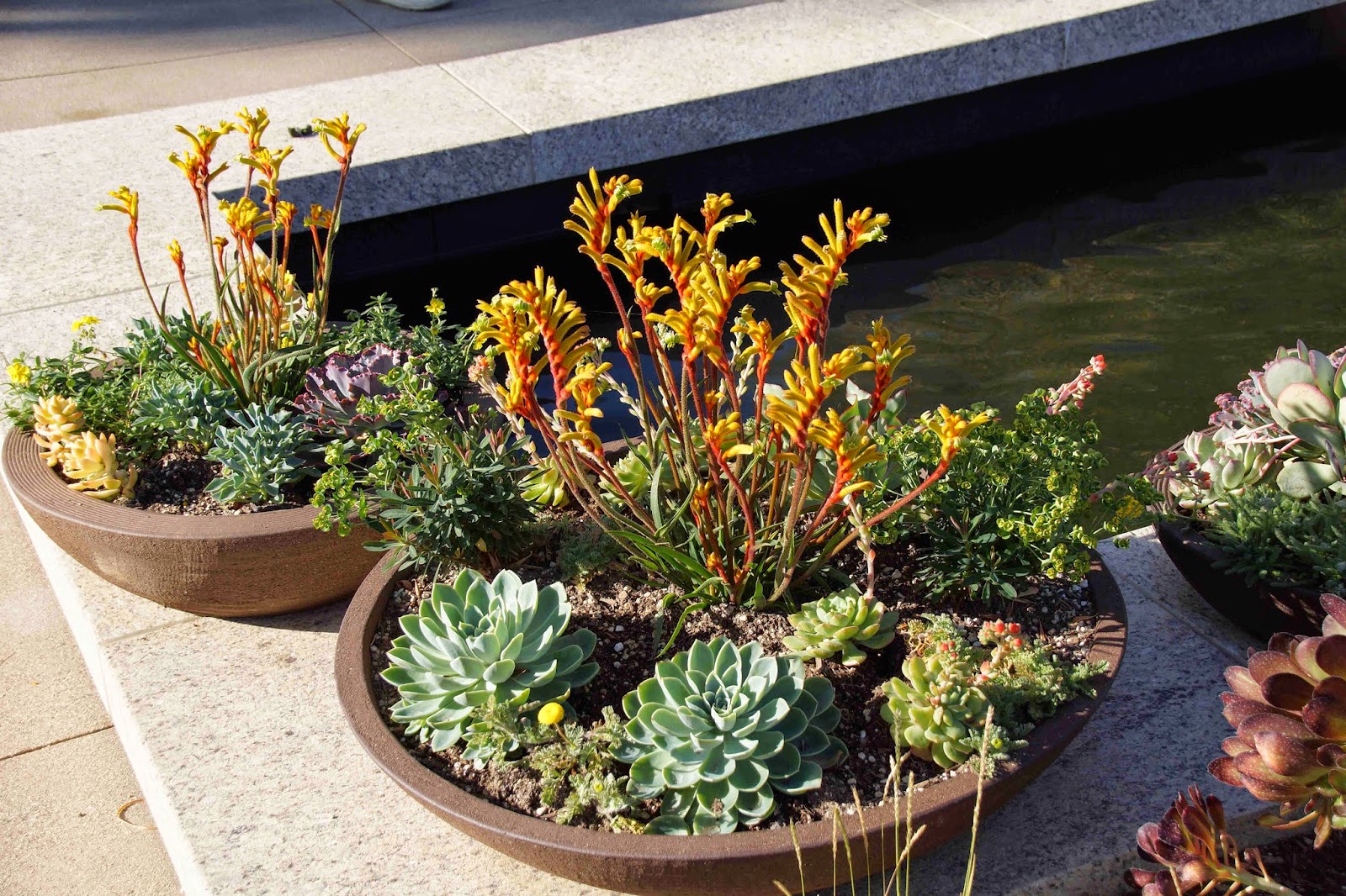 New Huntington Entrance Garden