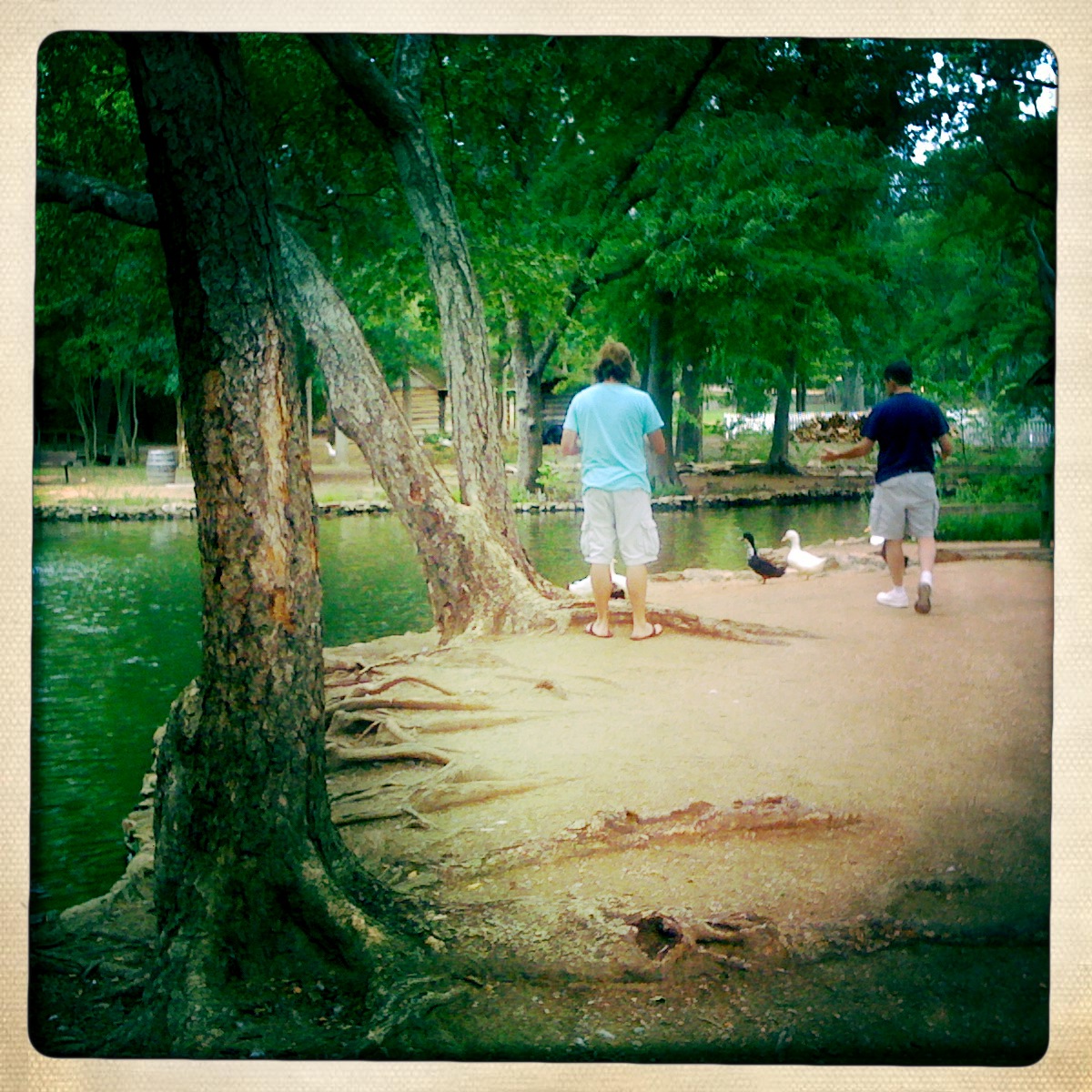 The Duck Pond in Huntsville, Texas