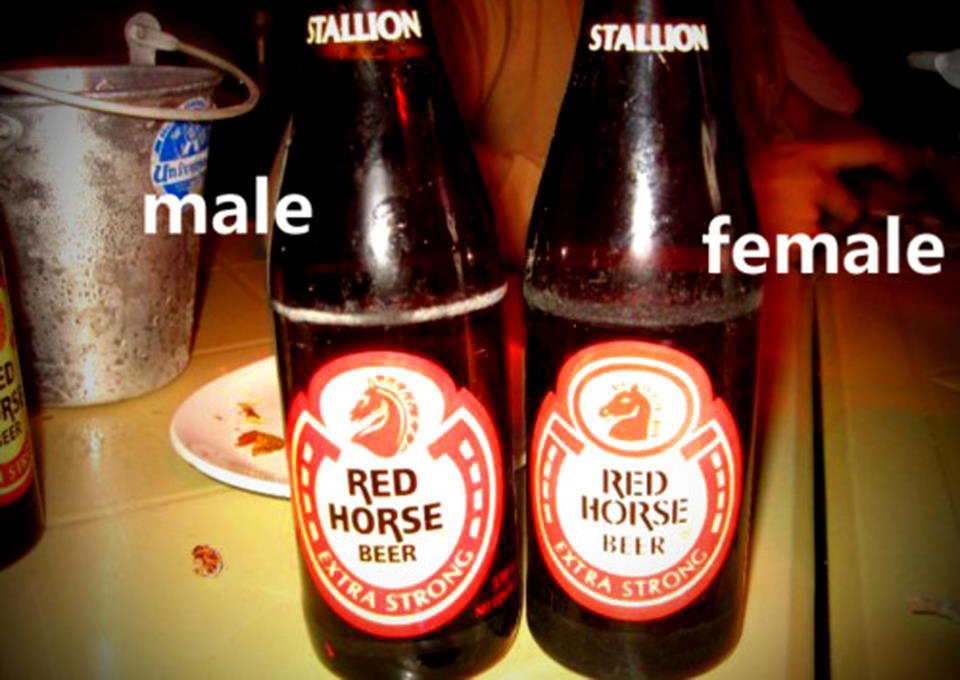 Filipino Humor THE MALE AND THE FEMALE RED HORSE BEER