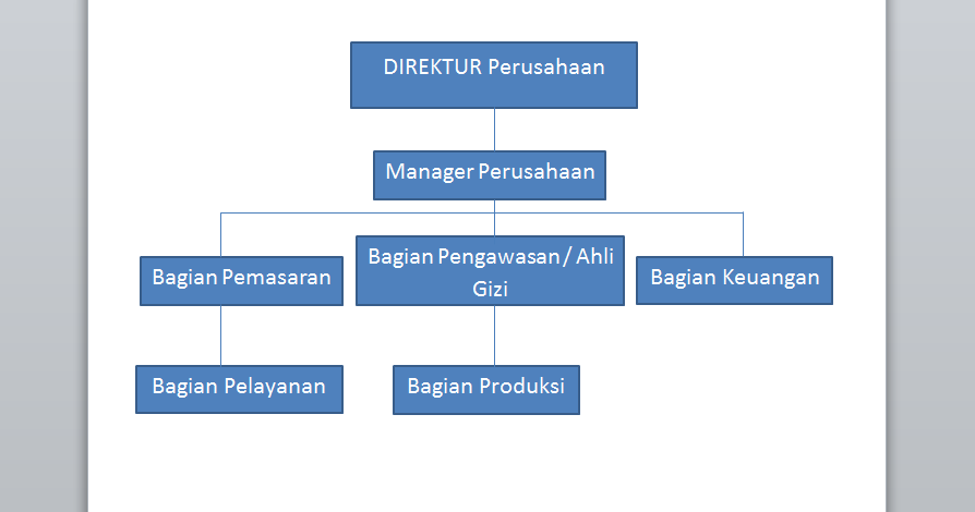 Struktur Organisasi Penjualan Jam Tangan Wanita Alexandre Online: Sebuah Analisis Mendalam