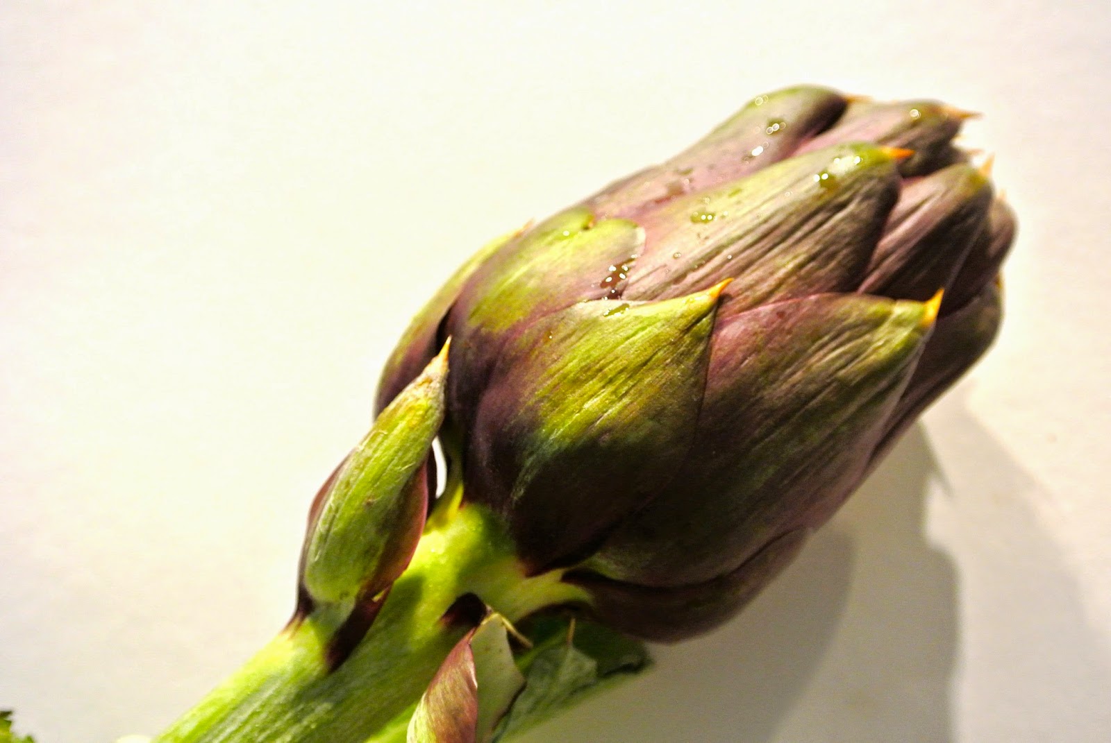 Ti Saluto Ticino: Artischocken mit Pasta, Tintenfisch und Tomaten