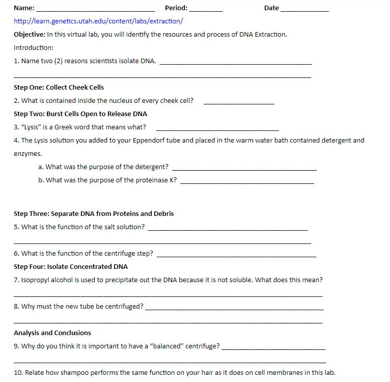 Dna Extraction Virtual Lab Answer Key