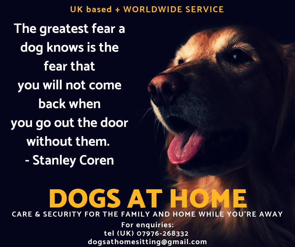 Living Like You Mean It DOGS AT HOME Housesitting Service