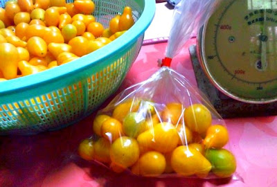黄色い涙型のミニトマト