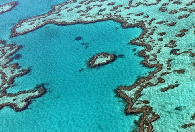 ALERTA AUSTRALIANO: GRANDE BARREIA DE CORAL PERDEU UM TERÇO DA ÁREA EM UM ANO