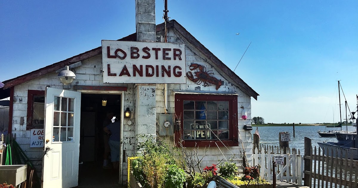 Katie Wanders Lobster Landing, Clinton CT