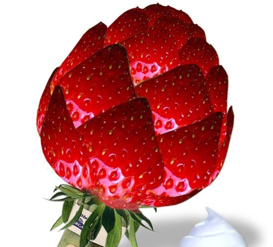 Φράουλα - Strawberry