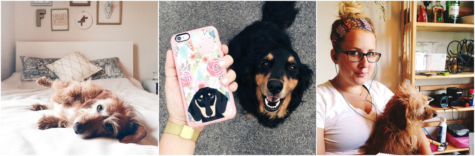 Franish having a dog in medical school & residency