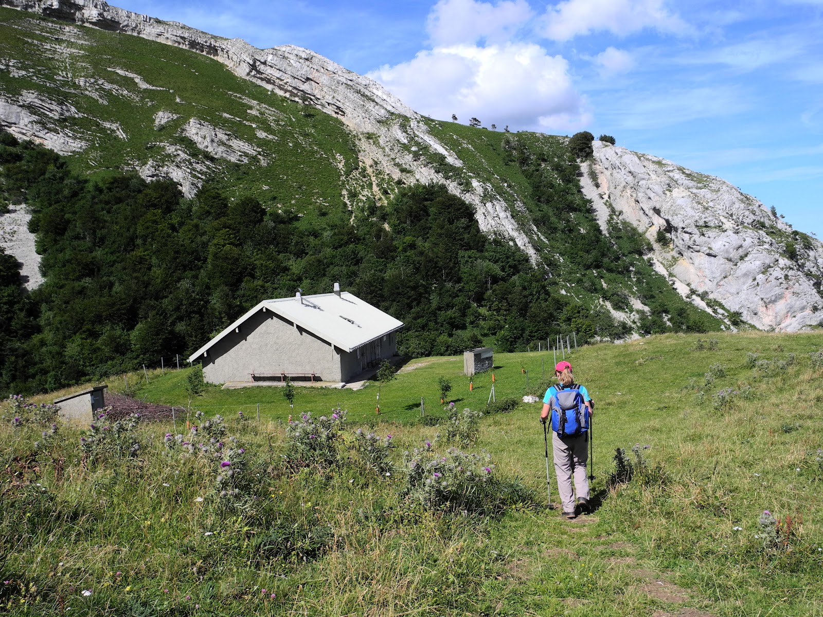 Jura Mountain Rambling: Le Reculet (No 2)