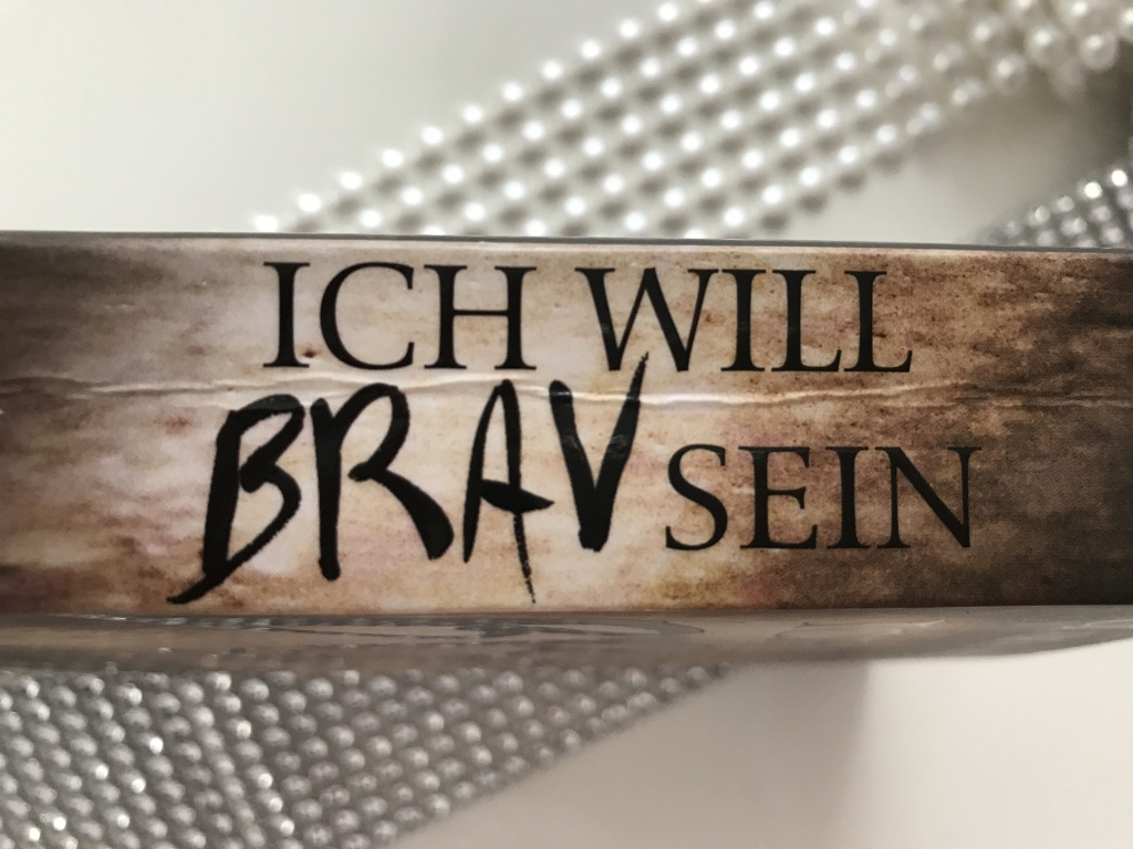 Der Mobile Ai Dolmetscher Wt2 Plus Der Babelfisch Ist Real Mit