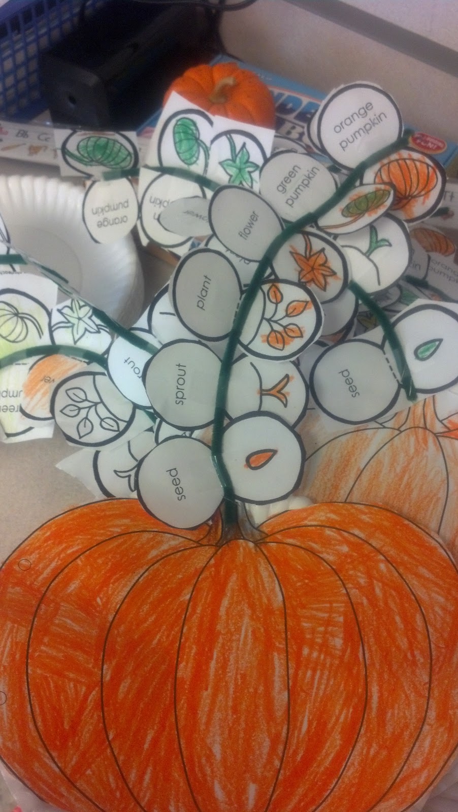 kindergarten-adventures-at-maple-elementary-how-do-pumpkins-grow