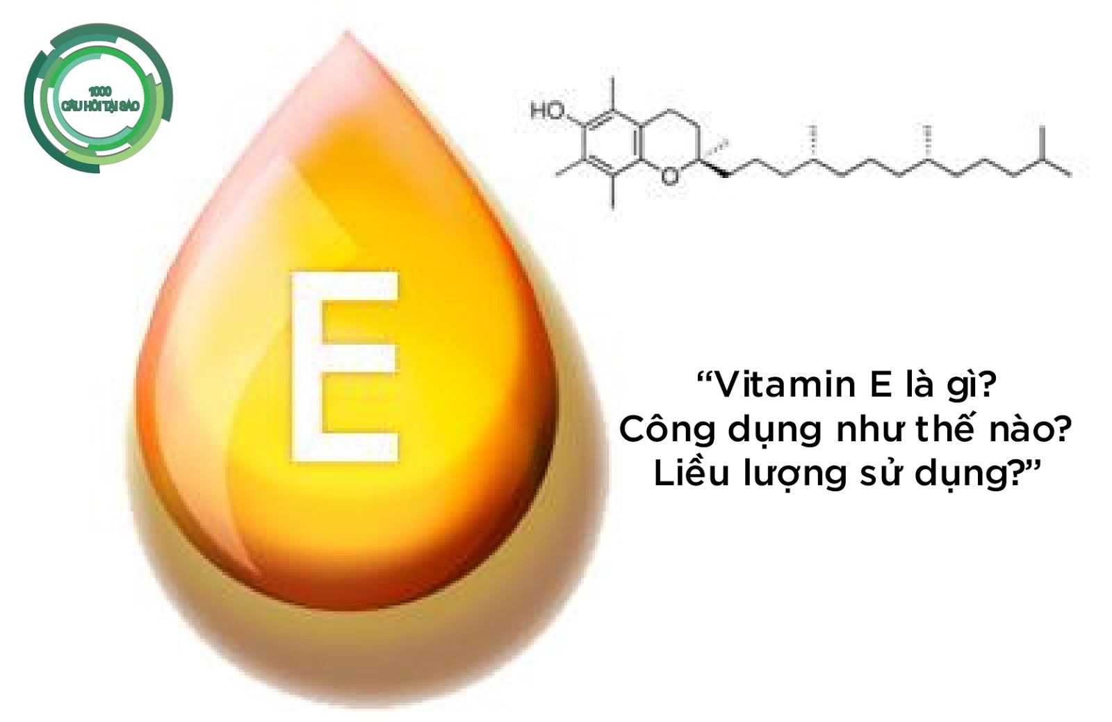 Vitamin E là gì? Công dụng như thế nào? Liều lượng sử dụng? 1000 Câu Hỏi Tại Sao