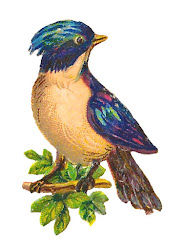 bird tree clip digital perched animal