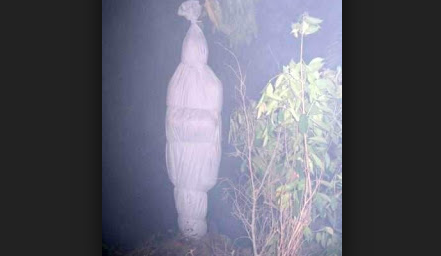 Kumpulan Gambar Foto Hantu Paling Seram Yang Sangat Menakutkan dari