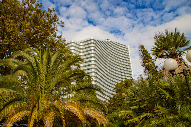 Путешествия: Сочи в ноябре: набережная, парк Дендрарий, канатная дорога