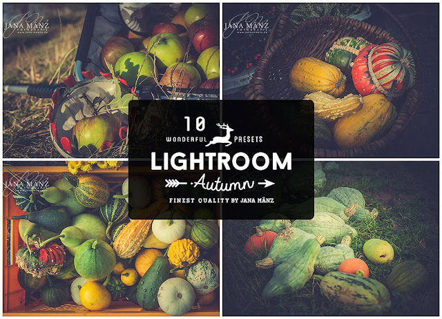 10 Autumn Vintage Lightroom Presets