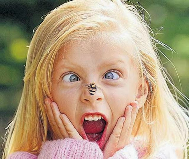 Πρώτες βοήθειες για καλοκαιρινά τσιμπήματα