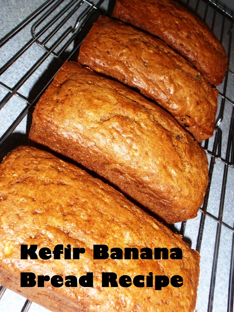 My Inner Piece of Mind Kefir Banana Bread Recipe