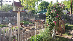 coop mckinney tour right fun