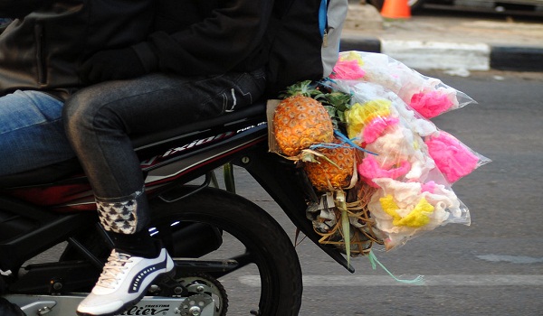 Oleh oleh Waktu Mudik Oleh oleh Waktu Mudik
