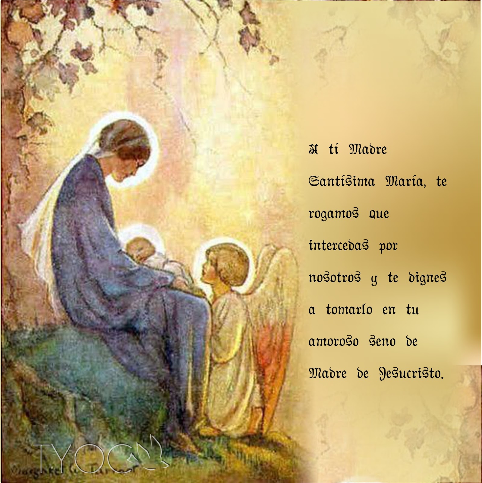 TARJETAS Y ORACIONES CATOLICAS: CONDOLENCIAS 1, 2 Y 3