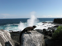 The Ever-Changing Sea at Suarez Point on Espanola Island