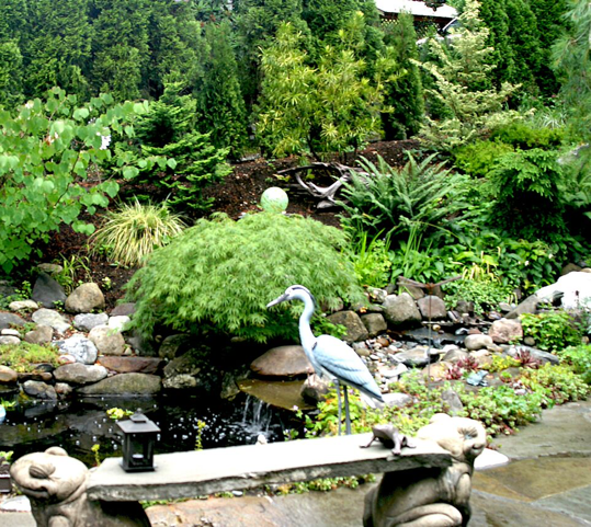 Shoreline Area News: Beautiful Lake Forest Park gardens open June 17