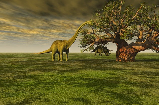 different color dinosaurs