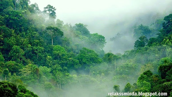 Berwisata Alam dan Sejarah di Hutan Taman Wisata Alam Bangko-Bangko Lombok