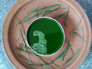 Bermuda Grass juice