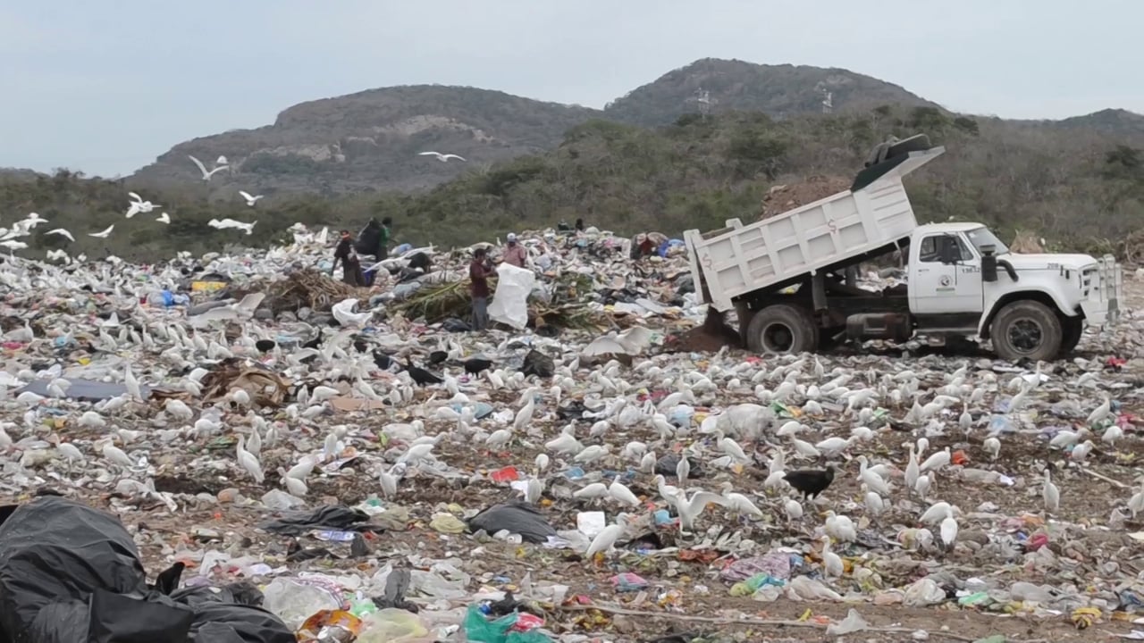 PUEDE LATINOAMERICA CONVERTIRSE EN EL NUEVO BASURERO DEL MUNDO