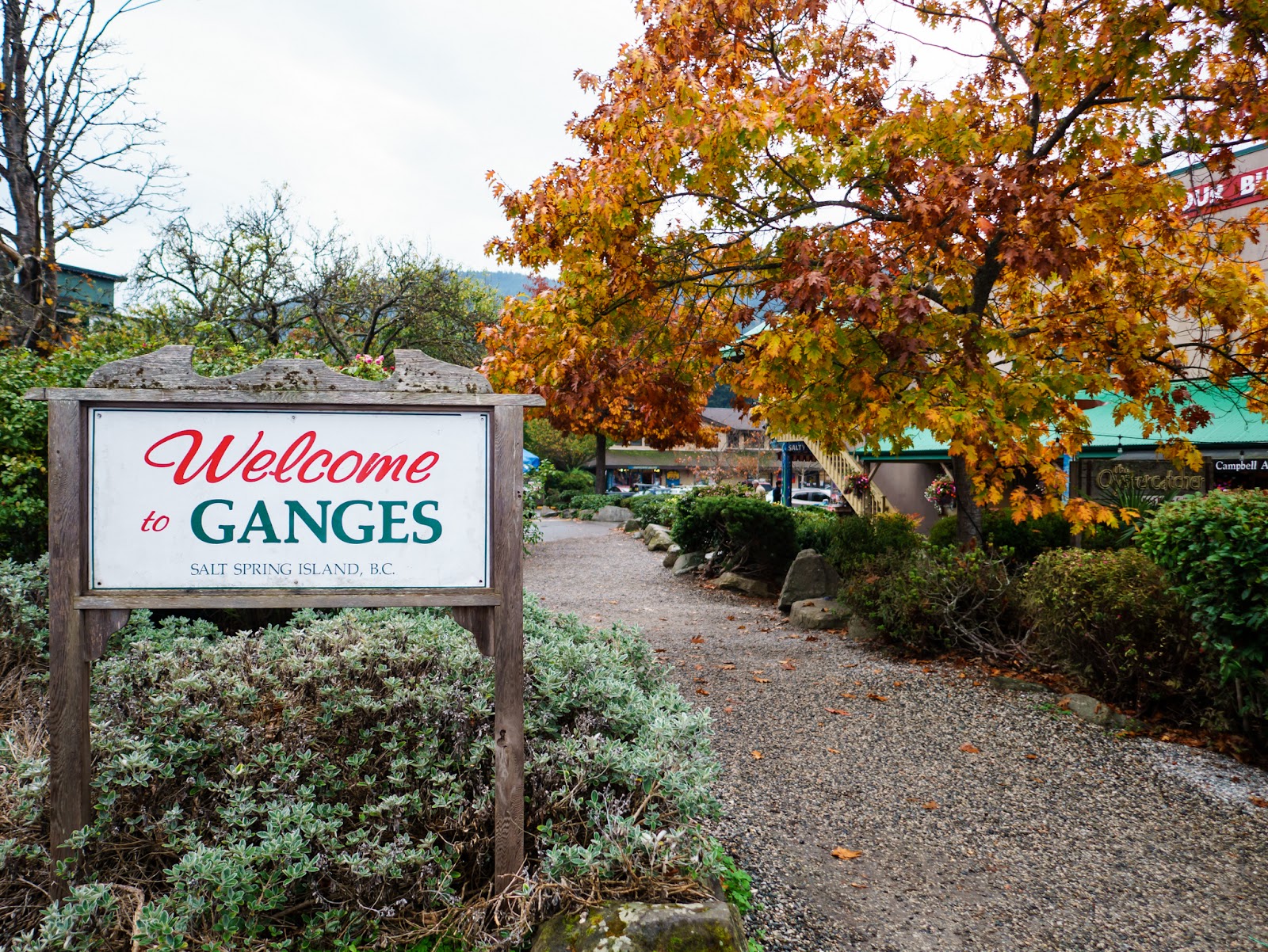 Salt Spring Island 