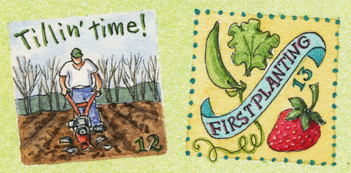 Strawberry Spring Watercolor Drawing