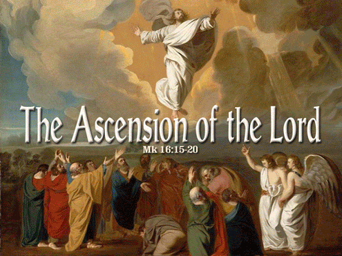 NGƯỜI LỮ HÀNH HY VỌNG: MAY 17, 2015 : SOLEMNITY OF THE ASCENSION OF THE LORD  year B