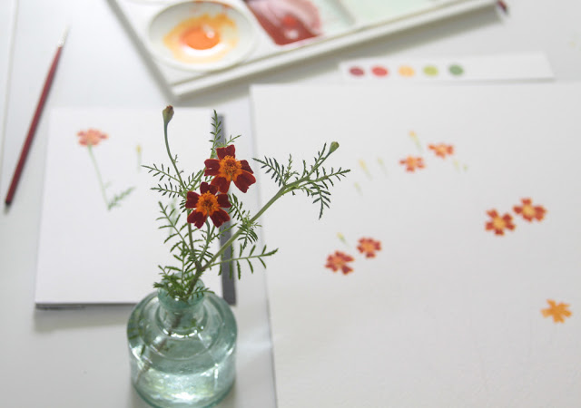marigolds, painting, watercolor, botanicals, Anne Butera, My Giant Strawberry