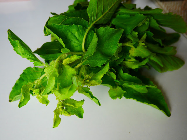 a bunch of bright green Thai holy basil on a white background