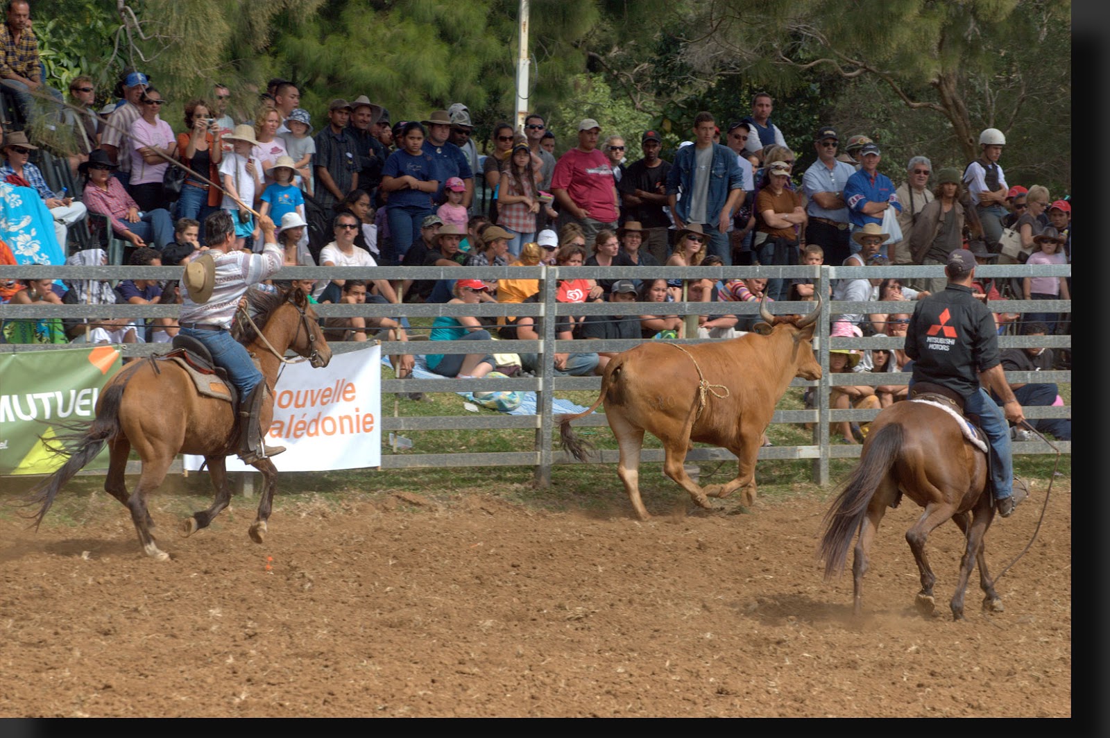 Un dimanche...: Un dimanche au rodéo de Bourail