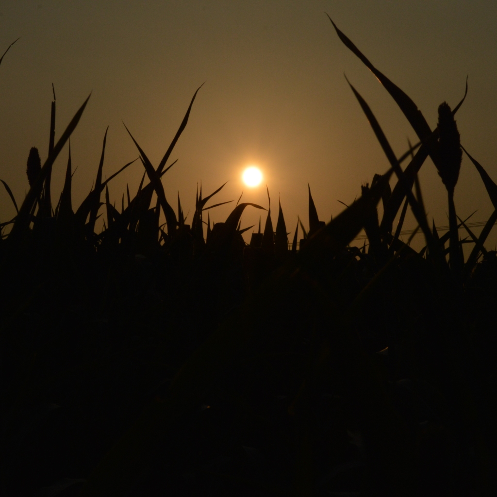 Ipad 2 Wallpaper Dimensions hd wallon